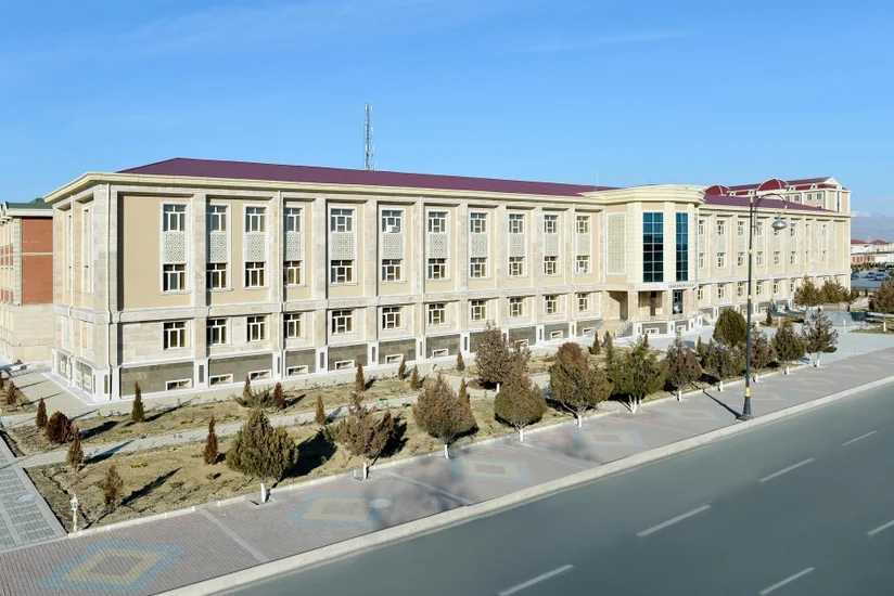 Naxçıvanda Mərkəzi Uşaq Xəstəxanasının baş həkimi işdən çıxarılıb