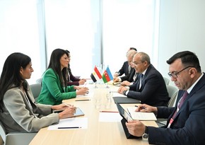 Азербайджан и Египет обсудили расширение экономического сотрудничества
