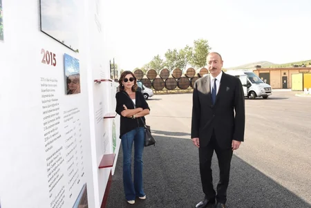 Şamaxıda “Şirvan şərabları” MMC-nin üzümçülük və şərabçılıq kompleksinin açılışı olub