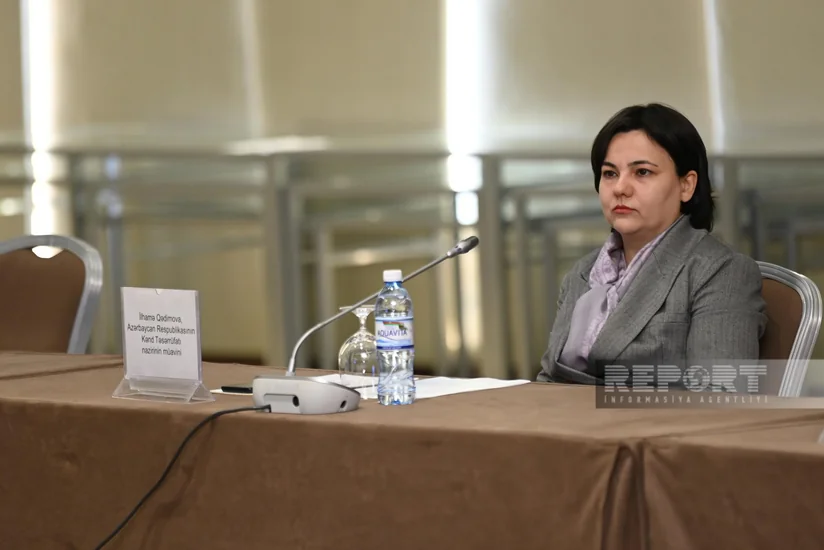 Nazir müavini: Qarabağda yeni dəstək mexanizmlərinin formalaşdırılması qarşıya məqsəd qoyulub