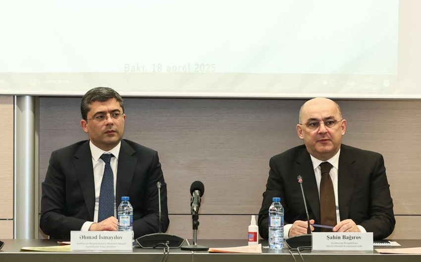 Şahin Bağırov: “İnsanlar digər xərcləri düşünmür, amma gömrük ödənişlərinə tərəddüdlə yanaşırlar”
