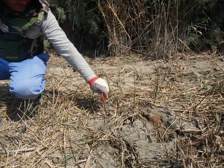 Biləsuvarda 8 ədəd partlamamış hərbi sursat və 1 ədəd avtomat tapılıb