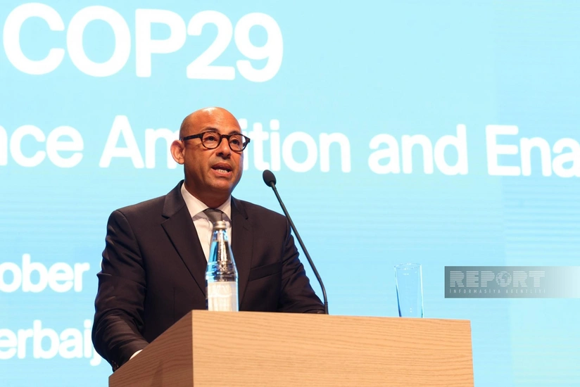 Saymon Stil: İqlim maliyyəsi məsələsi Bakıda keçiriləcək COP29-da həll oluna bilər