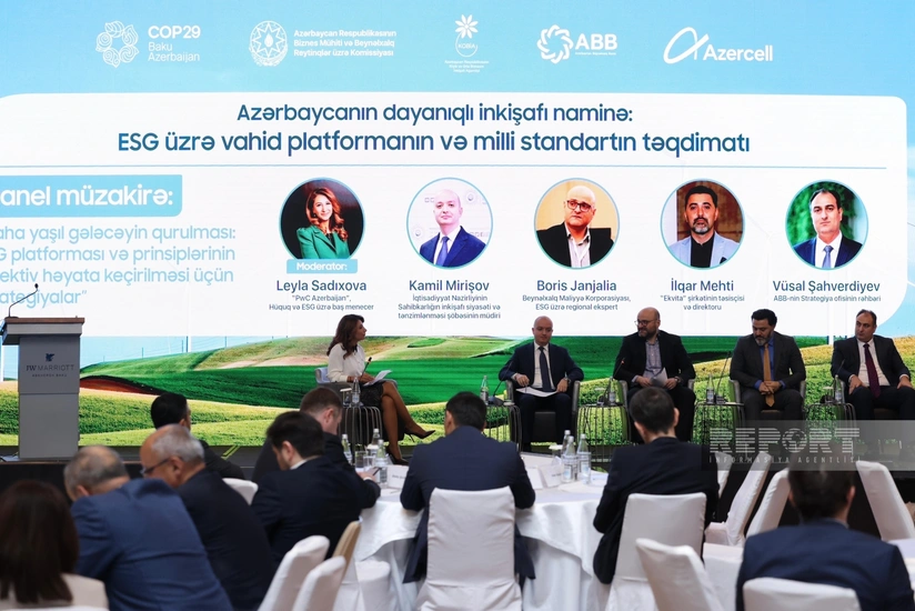 IFC Expert: South Caucasus faces several common challenges in ESG sphere