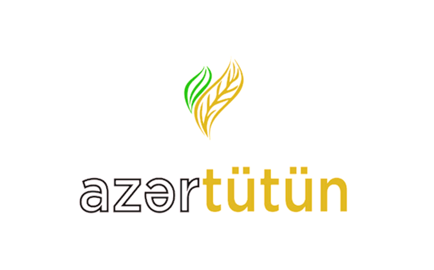 “Azərtütün ASK” bu il ixracdan gəlirlərini 2,3 dəfə azaldıb