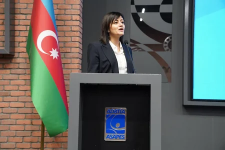 Fərid Qayıbov federasiya nümayəndələri ilə görüşüb