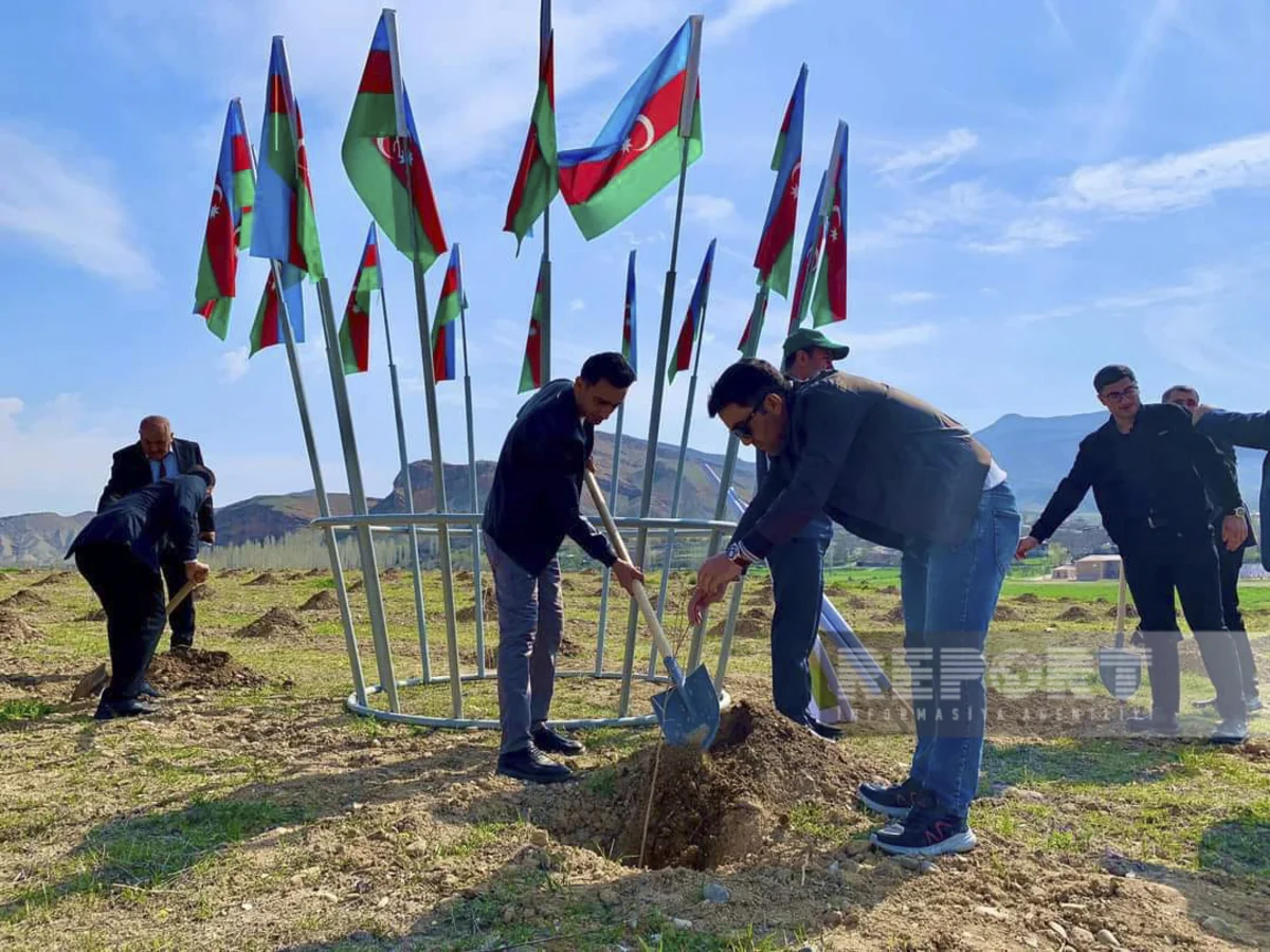 Naxçıvanda “Əkinçi bağı salınıb