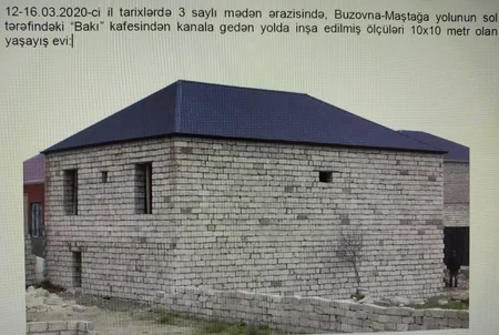 Asan qazanc hərisliyi COVID-19-dan daha yaşlı və qorxuludur - ARAŞDIRMA
