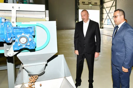İlham Əliyev və Mehriban Əliyeva “Grand-Agro İnvitro” MMC-nin müəssisəsi ilə tanış olub