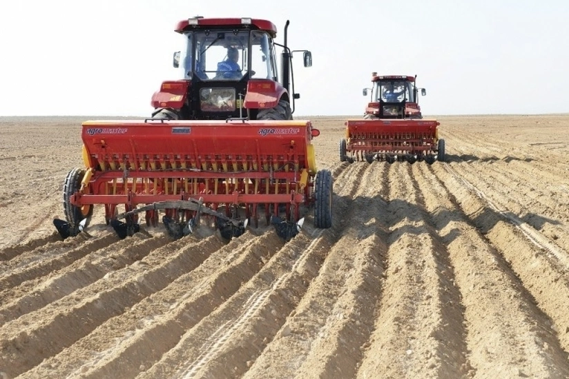 Salyanda 6,5 min hektardan çox payızlıq bitkilər əkilib