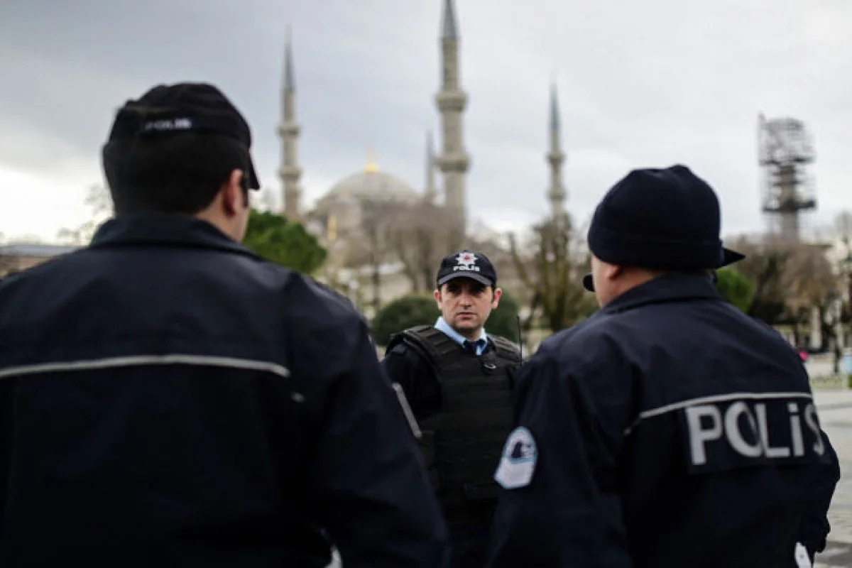 Türkiyədə meşə yanğınlarında şübhəli bilinən yeddi nəfər saxlanılıb