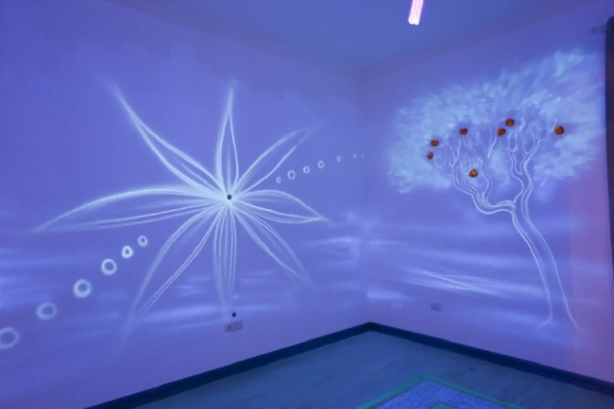 Azərbaycanda “Farhause” neon ev muzeyi açılıb
