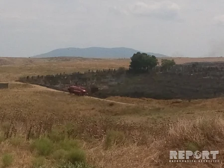 Fire occurred at Khaltan cemetery of Shabran region