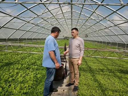 Azərbaycan şirkəti Serbiyadan tütünçülük üzrə məsləhətçi dəvət edib
