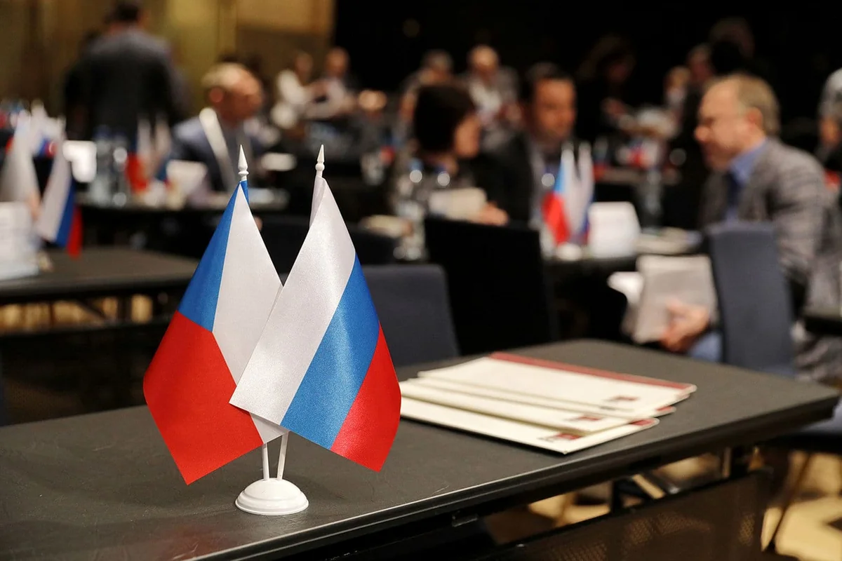 Czech Senate urges to terminate treaty with Russia