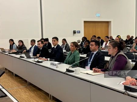 COP29 prezidenti kiçik ada dövlətləri üzrə Danışıqlar Qrupunun nümayəndələri ilə görüşüb