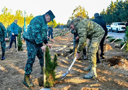 Zəfər Günü və “Yaşıl dünya naminə həmrəylik ili” ilə bağlı  iki mindən çox Eldar şamı əkilib
