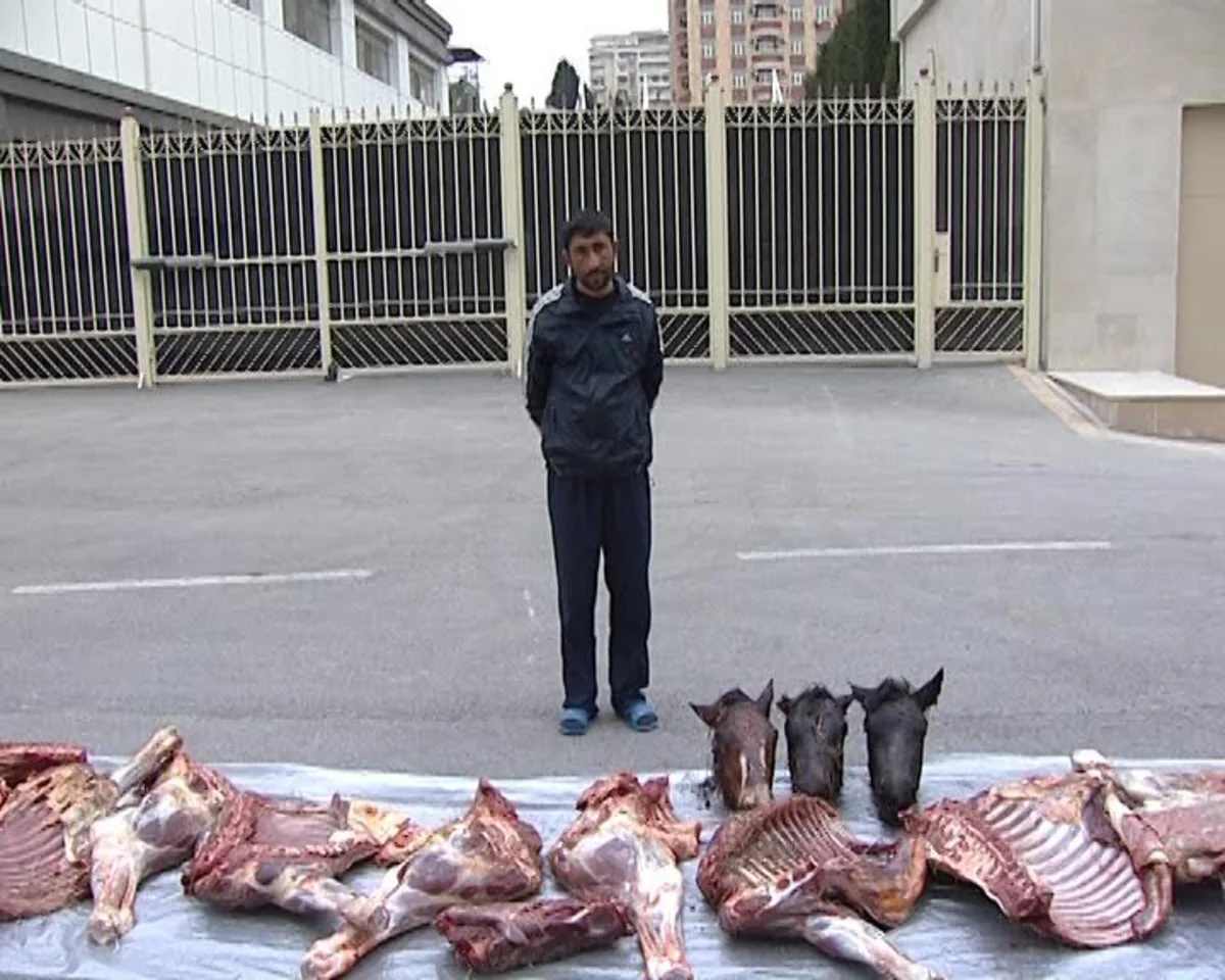 Yevlax sakini 1 ton istifadəyə yararsız at ətini satmaq istəyən zaman saxlanılıb - FOTO