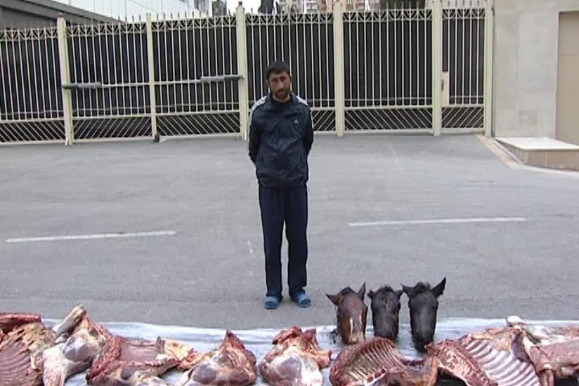 Yevlax sakini 1 ton istifadəyə yararsız at ətini satmaq istəyən zaman saxlanılıb - FOTO