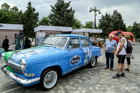 Bakıda orqanik məhsullar festivalı keçirilir - FOTOREPORTAJ