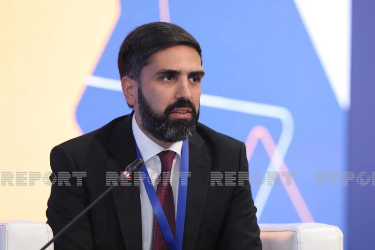 Rövşən Nəcəf gənclərə işlə bağlı tövsiyələr verib