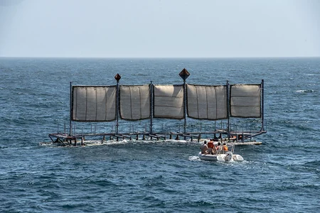 Военные моряки выполнили очередной эпизод конкурса Кубок моря