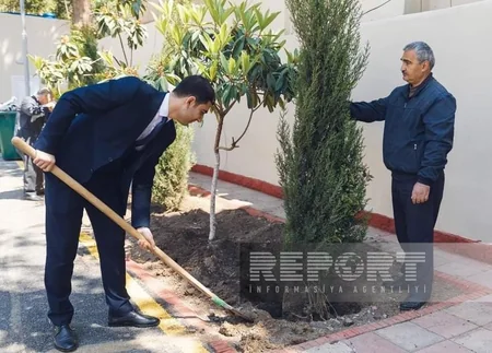 Gəncədə Heydər Əliyevin 100 illiyinə həsr olunan ağacəkmə aksiyası keçirilib