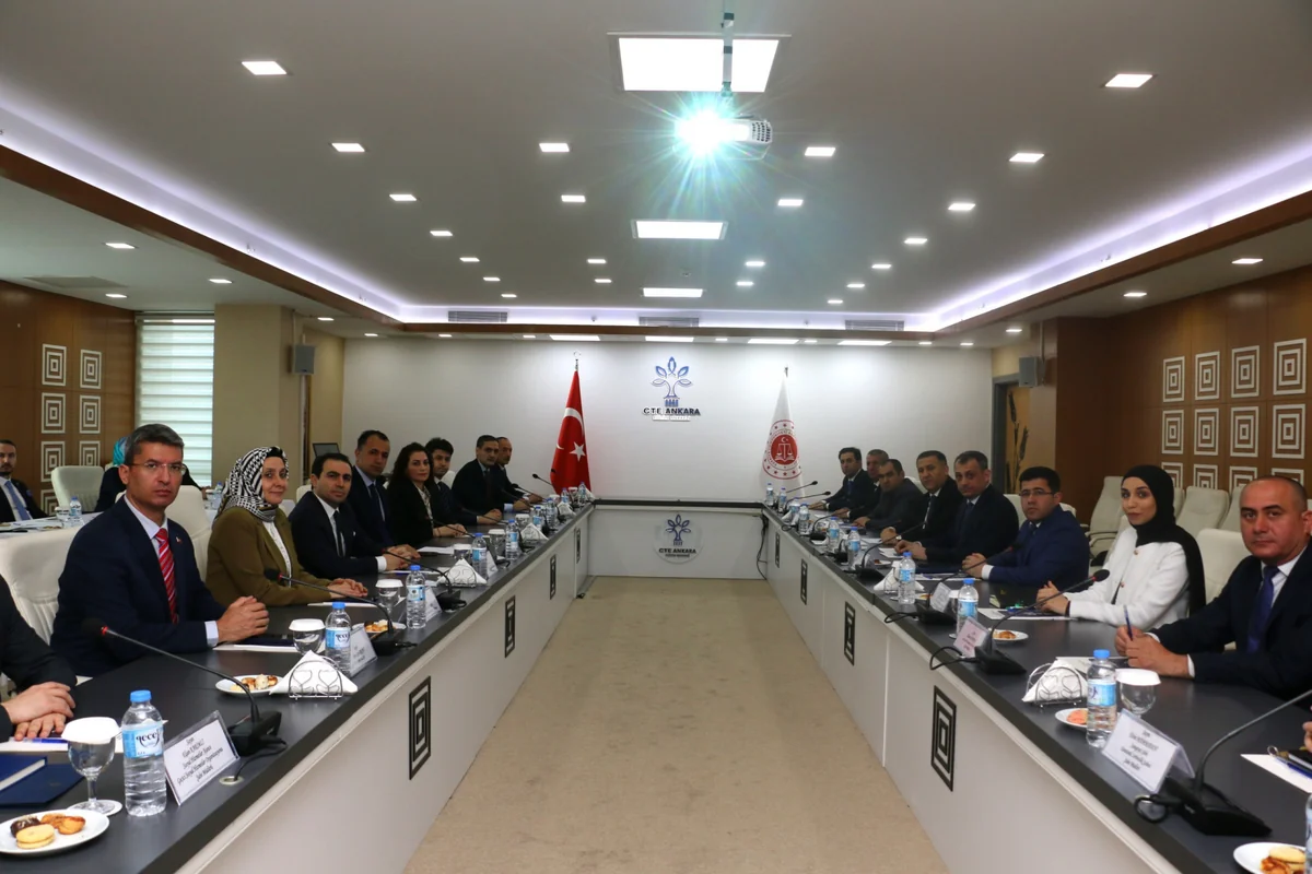 Türkiyənin probasiya təcrübəsi öyrənilir