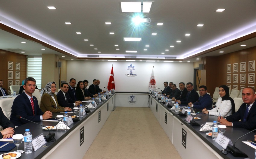 Türkiyənin probasiya təcrübəsi öyrənilir