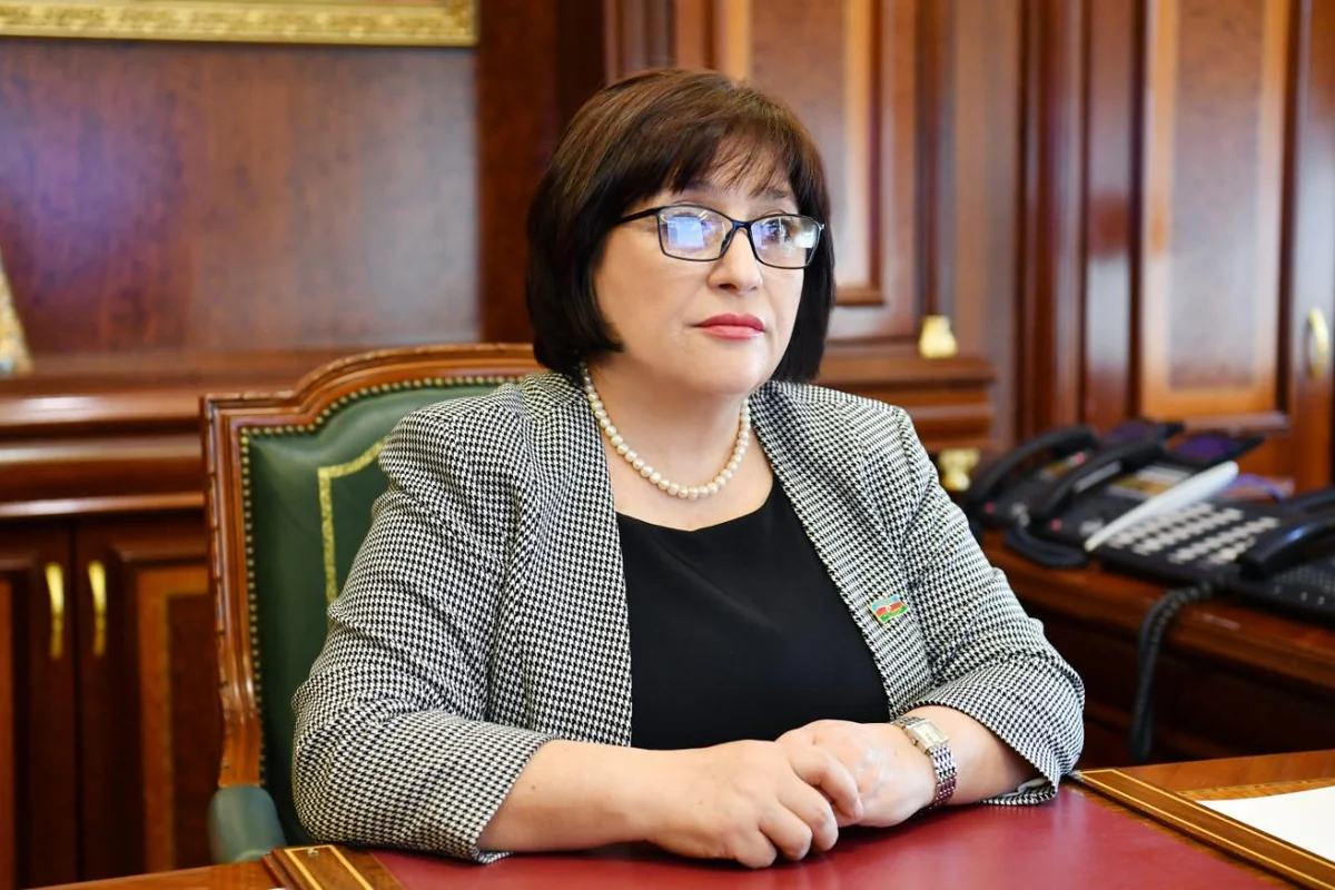 Milli Məclisin sədri müxalif deputatların fəaliyyətindən danışıb