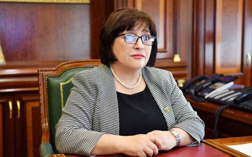 Milli Məclisin sədri müxalif deputatların fəaliyyətindən danışıb