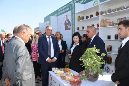 Naxçıvanda “Aqro festival” keçirilir