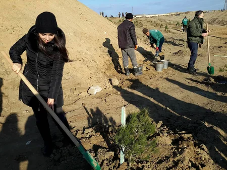 Ekologiya və Təbii Sərvətlər Nazirliyi iməcilik keçirib - FOTO