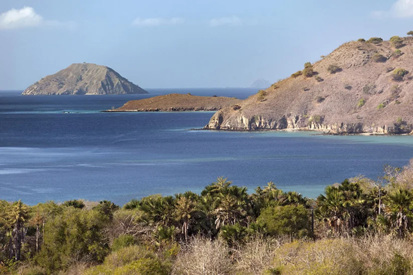 İndoneziyada daha 170 yeraltı təkan qeydə alınıb - VİDEO
