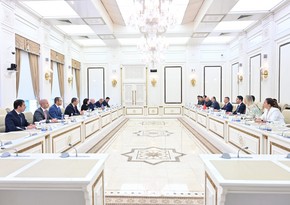 Sahiba Gafarova informs Fuat Oktay about Azerbaijan's peace initiative