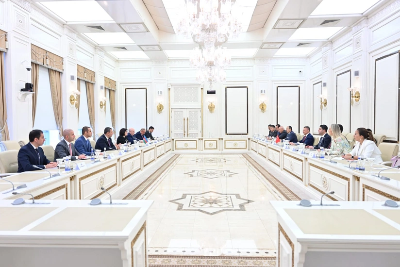 Sahiba Gafarova informs Fuat Oktay about Azerbaijan's peace initiative