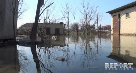 Cəlilabadda qrunt suları problemlər yaradıb - FOTO