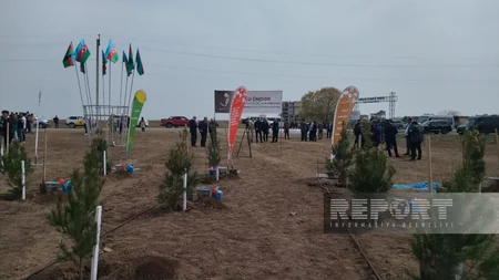 Heydər Əliyevin 100 illik yubileyi ilə əlaqədar Ağdamda ağacəkmə aksiyası keçirilib
