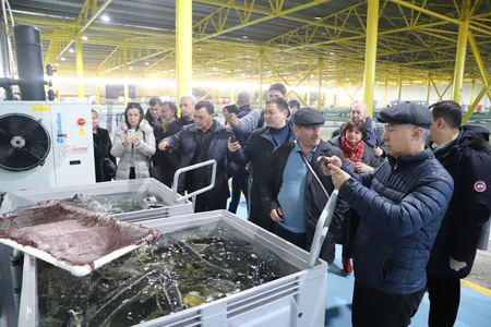 Regional Komissiya iclasının iştirakçıları Nərəmiz balıqyetişdirmə zavodunda olub