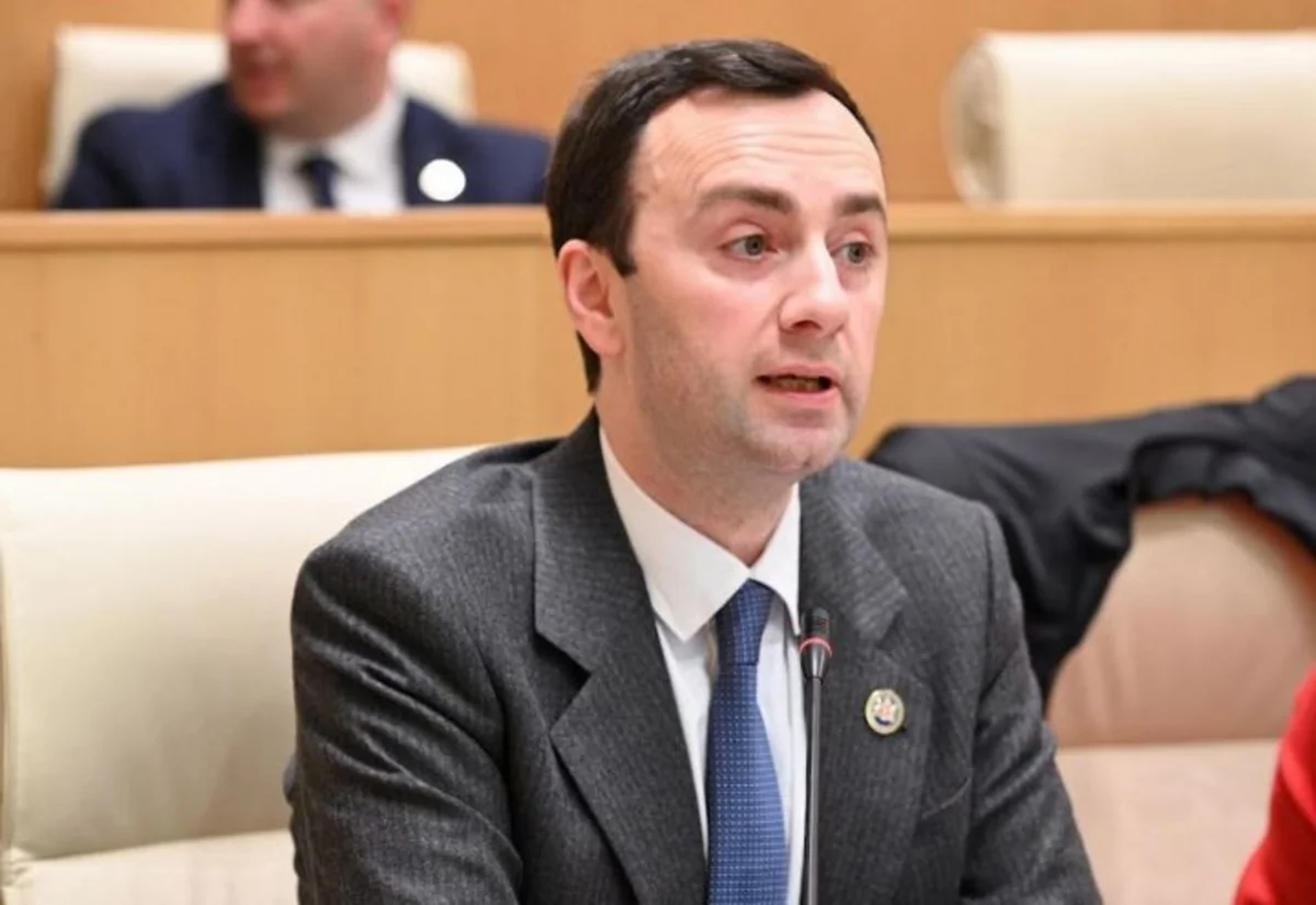 Levan Makhashvili: Azerbaijan - indispensable partner for Georgia