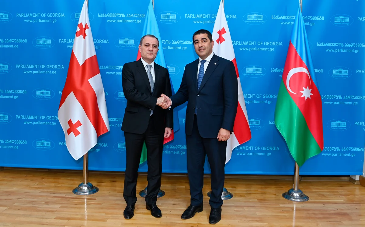 Azerbaijan's foreign minister, Georgian parliament speaker mull regional situation