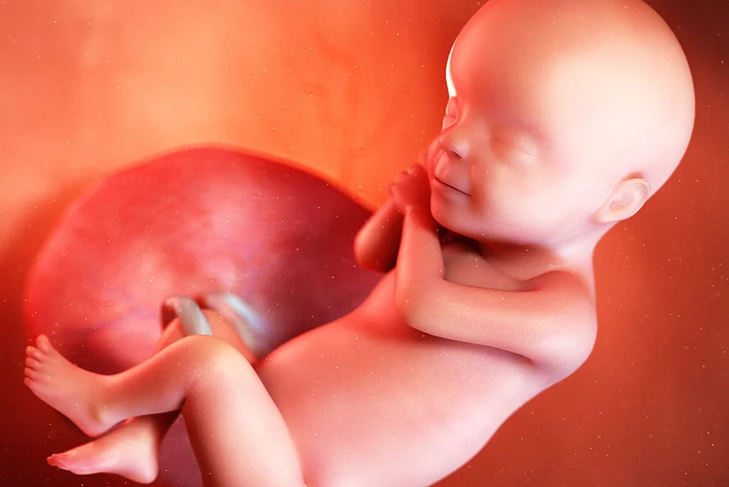 Pediatr: Ana bətnindəki körpə üçün bir həftə belə önəmlidir