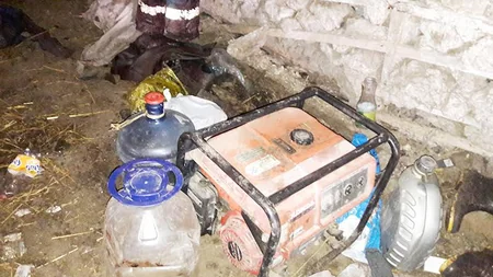 Cəlilabadın Maşlıq kəndində qanunsuz at kəsimi və at əti tədarükü ilə məşğul olanlar aşkarlanıb