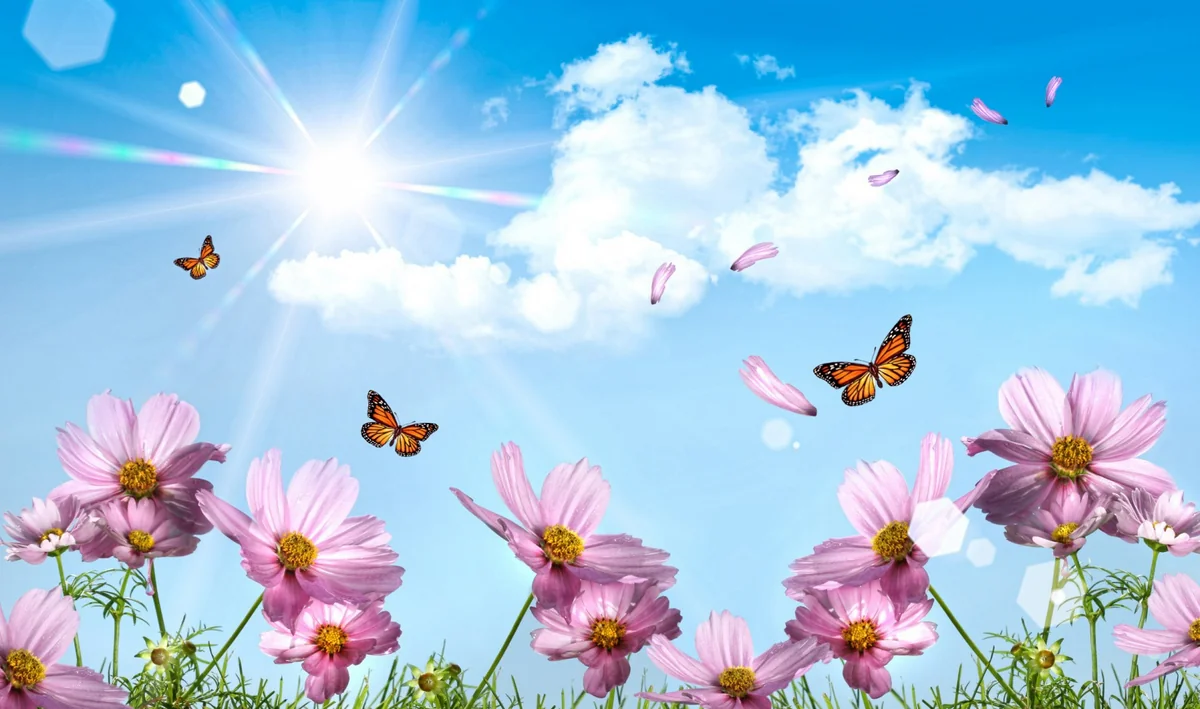 Azerbaijan welcomes spring season