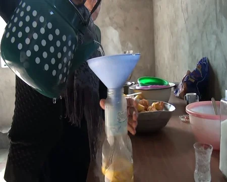 Göyçayın heyva bağları: məhsul boldur, alan yoxdur - REPORTAJ
