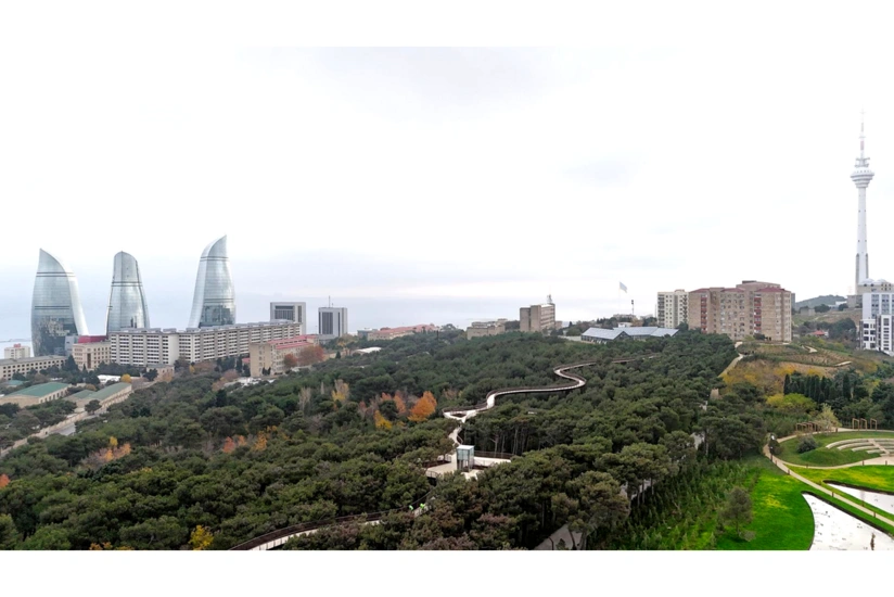 2024-cü ildə Azərbaycana 3016 nəfər daimi yaşamağa gəlib