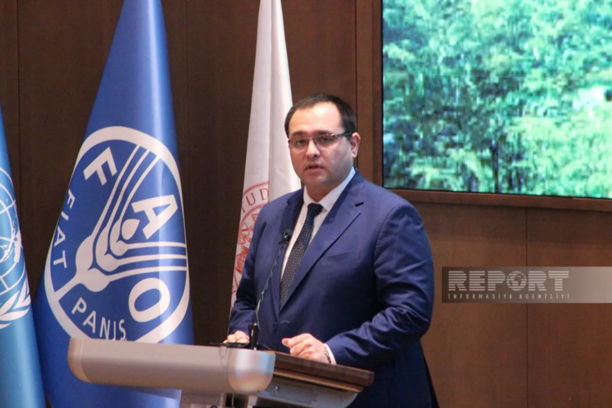 Nazir: Dünyada sağlam qidalanma üçün qabaqcıl təcrübə tətbiq edilməlidir