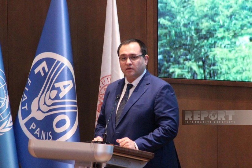 Nazir: Dünyada sağlam qidalanma üçün qabaqcıl təcrübə tətbiq edilməlidir