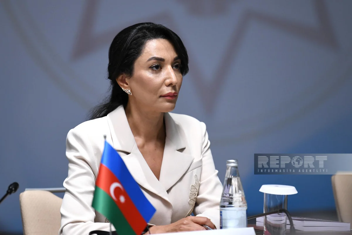Ombudsman ötən il üzrə məruzəsini Prezidentə təqdim edib