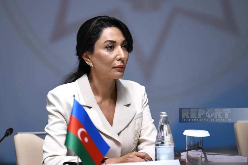 Омбудсмен представила президенту Азербайджана ежегодный доклад по правам человека